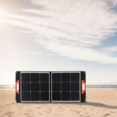 30W*2PCS Black Solar Panel Chuyển đổi thế giới với năng lượng tái tạo